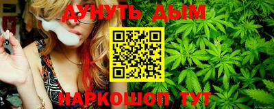 мдпв Пугачёв