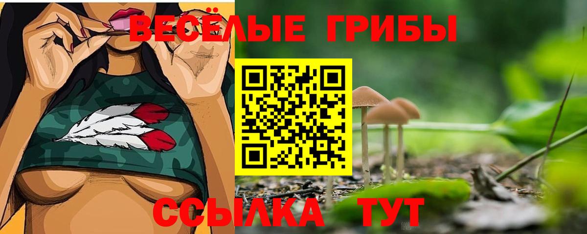 Псилоцибиновые грибы Magic Shrooms  Вход с VPN  Симферополь  Галлюциногенные грибы мухоморы 